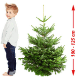 Seinen Weihnachtsbaum kann man auch kaufen auf www.real.de